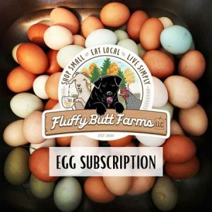Egg Subscription