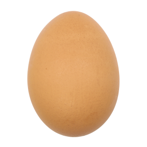 Eggs - FBF Store